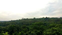 The Hillier (D23), Apartment #454309231